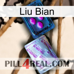 Liu Bian 37